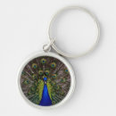 Search for peacock feather key rings Photography