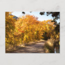 Search for dells postcards Photograph