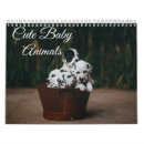 Search for babies calendars Birds