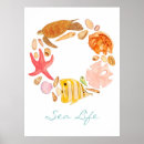 Search for sea life posters Ocean