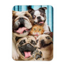 Search for dog magnets Joke