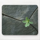 Search for boulder mousepads Nobody