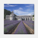 Search for gordes magnets Provence
