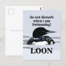 Search for common loons postcards Nature