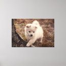 Search for snowballs art Cute