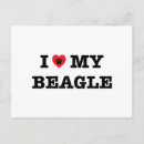 Search for beagle hound postcards Puppy