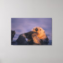 Search for sea otter canvas prints Cute