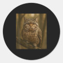 Search for funny slogans stickers Meme