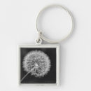 Search for flower seed key rings Dandelion