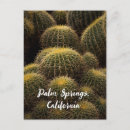 Search for palm springs postcards Nature