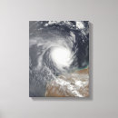 Search for billy photography Hurricanes