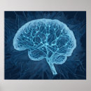 Search for psychological science posters Brain