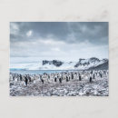 Search for polar climate cards Snow