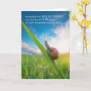 Search for knee replacement cards Surgery
