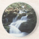 Search for great smoky mountains coasters Forest