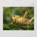 Search for greg johnston postcards Florida