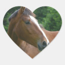 Search for horse love stickers For horse lovers