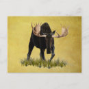 Search for in charge postcards Wildlife