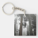 Search for sequoia national park key rings Trees