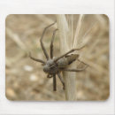 Search for spider mousepads Animals