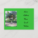 Search for wisdom business cards God