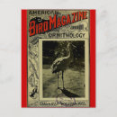 Search for 1903 postcards Vintage