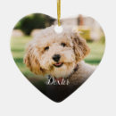 Search for photo pet memorials Memory