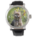 Search for yorkie accessories Cute