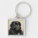 Search for newfoundland dog key rings Pet