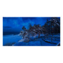 Search for winter path posters Forest