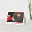 Search for humerous cards Cat