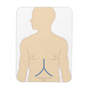 Search for medical tools posters Problems