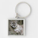 Search for cougar key rings Panther
