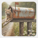 Search for ginger tabby cat stickers Orange