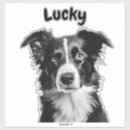 Search for border collies electronics Sheepdog