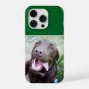 Search for labrador cases Funny