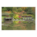 Search for garden foliage posters Nature