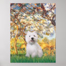Search for westie posters Pets