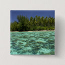 Search for polynesia badges Nobody