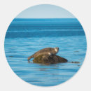 Search for coastal photo stickers Ocean