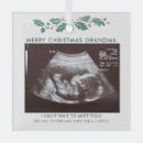 Search for pregnancy announcement christmas tree decorations Expecting