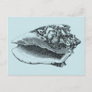 Search for translucent postcards Coastal