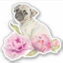 Search for white peony stickers Flower