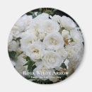 Search for arrows magnets White