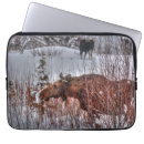 Search for wild moose electronics Elk