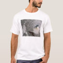 Search for ashes tshirts Eruption