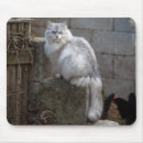 Search for long haired cat mousepads Persian