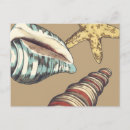 Search for blue shells postcards Sea