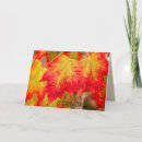 Search for canada cards Maple