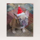 Search for french bulldog puzzles Domestic animals